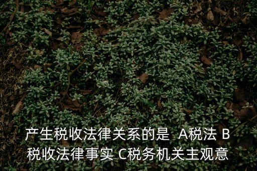 產(chǎn)生稅收法律關(guān)系的是  A稅法 B稅收法律事實(shí) C稅務(wù)機(jī)關(guān)主觀意