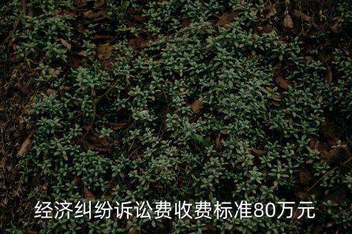 民事經(jīng)濟糾紛立案費用，民事經(jīng)濟糾紛訴訟費是多少