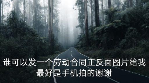 簡單的勞動合同模板圖片大全，誰可以發(fā)一個勞動合同正反面圖片給我最好是手機拍的謝謝