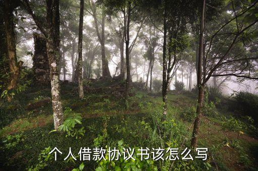 正規(guī)個(gè)人向個(gè)人借款合同范本，個(gè)人借款協(xié)議書該怎么寫