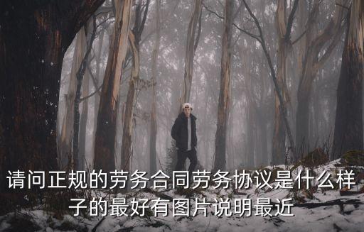 請(qǐng)問正規(guī)的勞務(wù)合同勞務(wù)協(xié)議是什么樣子的最好有圖片說明最近