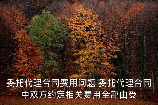 委托代理合同費(fèi)用問(wèn)題 委托代理合同中雙方約定相關(guān)費(fèi)用全部由受