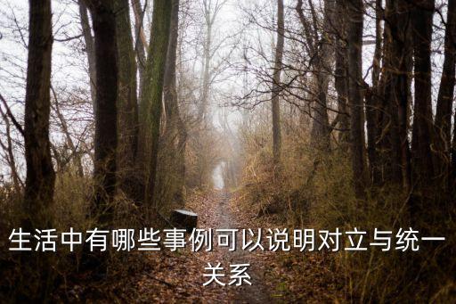 生活中有哪些事例可以說明對(duì)立與統(tǒng)一關(guān)系