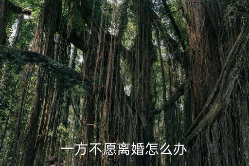 有一方不想離婚怎么辦，一方不愿離婚怎么辦