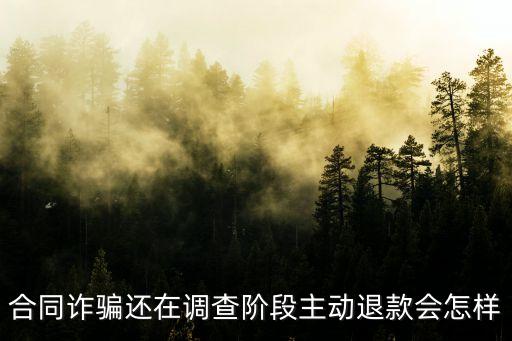 合同詐騙還在調(diào)查階段主動退款會怎樣
