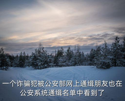 邯鄲詐騙犯通緝犯名單，邯鄲峰峰礦區(qū)詐騙犯蘇波現(xiàn)在抓住啦嗎