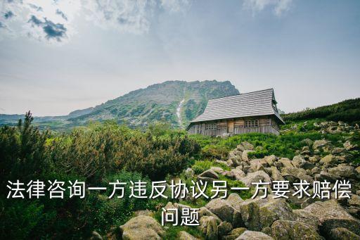 法律咨詢(xún)服務(wù)合同無(wú)效案例，法律咨詢(xún) 協(xié)議 違約