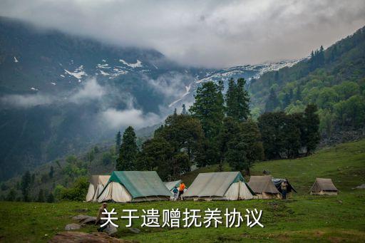 關(guān)于遺贈(zèng)撫養(yǎng)協(xié)議
