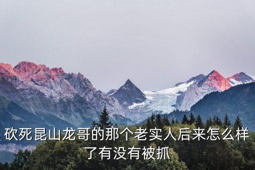 砍死昆山龍哥的那個老實人后來怎么樣了有沒有被抓