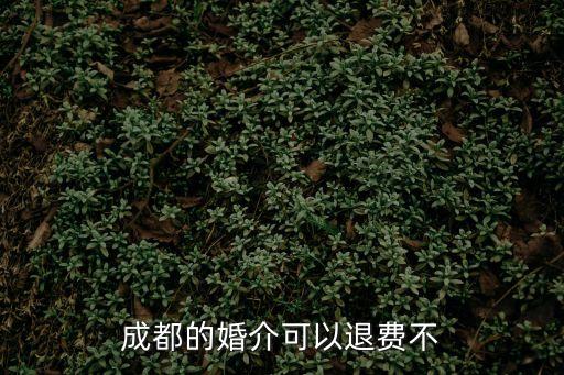 成都的婚介可以退費(fèi)不