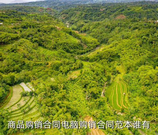 銷售合同模板免費下載，商品購銷合同電腦購銷合同范本誰有