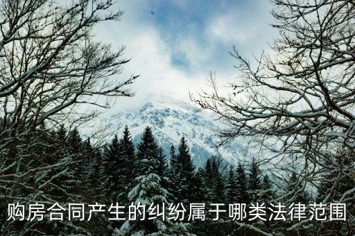 購房合同產(chǎn)生的糾紛屬于哪類法律范圍