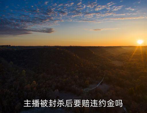 主播被封殺后要賠違約金嗎