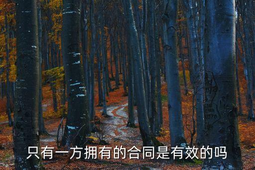 只有一方擁有的合同是有效的嗎