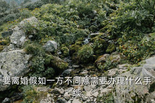 要離婚假如一方不同意需要辦理什么手續(xù)