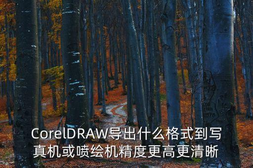CorelDRAW導(dǎo)出什么格式到寫真機(jī)或噴繪機(jī)精度更高更清晰