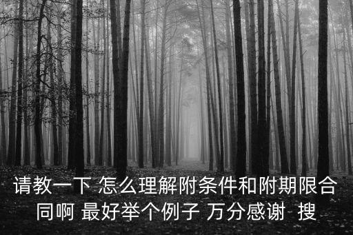 附條件合同的簡單例子，請教一下 怎么理解附條件和附期限合同啊 最好舉個(gè)例子 萬分感謝  搜