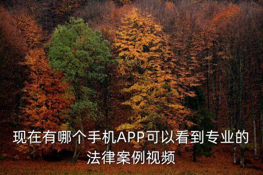現(xiàn)在有哪個手機APP可以看到專業(yè)的法律案例視頻