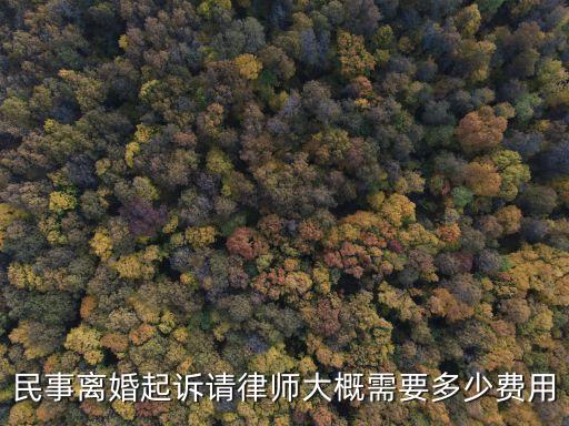 離婚律師收費(fèi)標(biāo)準(zhǔn)2022，律師辦理離婚訴訟資費(fèi)
