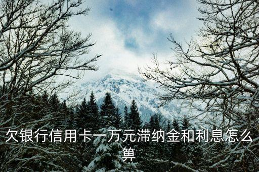 欠銀行信用卡一萬(wàn)元滯納金和利息怎么箅