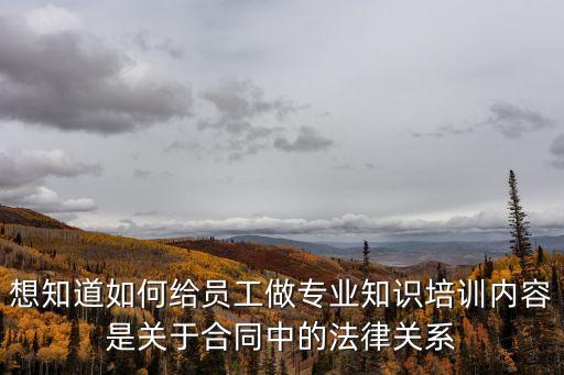 想知道如何給員工做專業(yè)知識培訓(xùn)內(nèi)容是關(guān)于合同中的法律關(guān)系