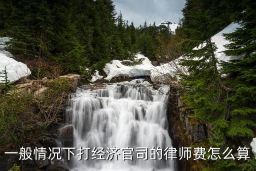 一般情況下打經(jīng)濟(jì)官司的律師費(fèi)怎么算