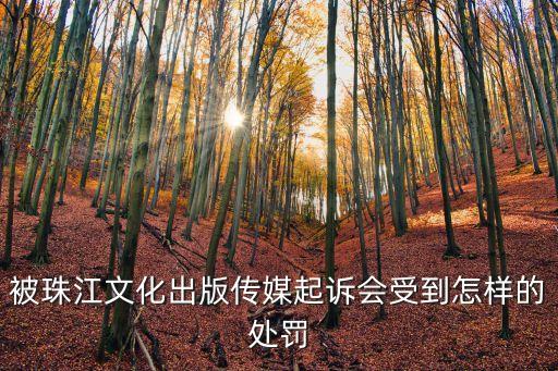 被傳媒公司起訴怎么辦啊，被珠江文化出版?zhèn)髅狡鹪V會受到怎樣的處罰
