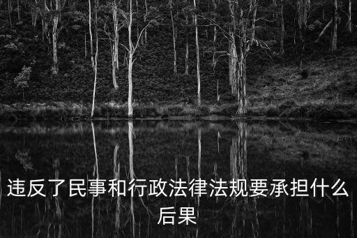違反了民事和行政法律法規(guī)要承擔什么后果