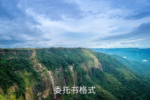 法律委托書怎么寫，法律援助的授權(quán)委托書怎么寫