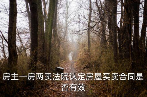 房主一房?jī)少u法院認(rèn)定房屋買賣合同是否有效