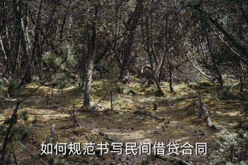 合法的借款合同的范本，個(gè)人借款協(xié)議書該怎么寫