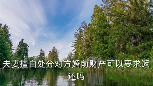夫妻擅自處分對(duì)方婚前財(cái)產(chǎn)可以要求返還嗎