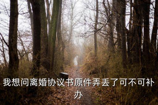 協(xié)議書原件，我想問離婚協(xié)議書原件弄丟了可不可補辦
