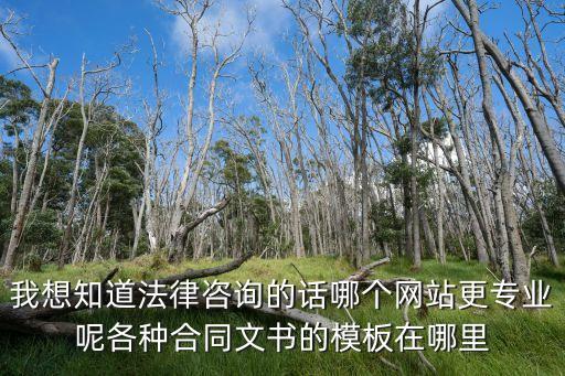 我想知道法律咨詢的話哪個(gè)網(wǎng)站更專業(yè)呢各種合同文書的模板在哪里