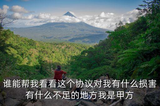 誰能幫我看看這個協(xié)議對我有什么損害有什么不足的地方我是甲方