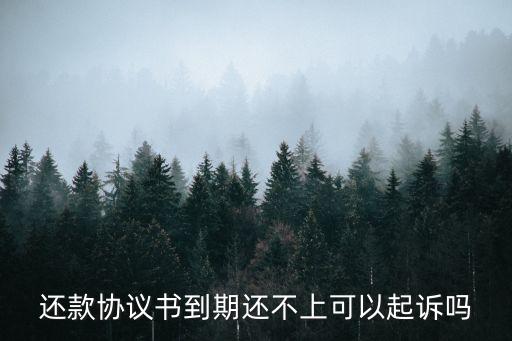 還款協(xié)議書到期還不上可以起訴嗎