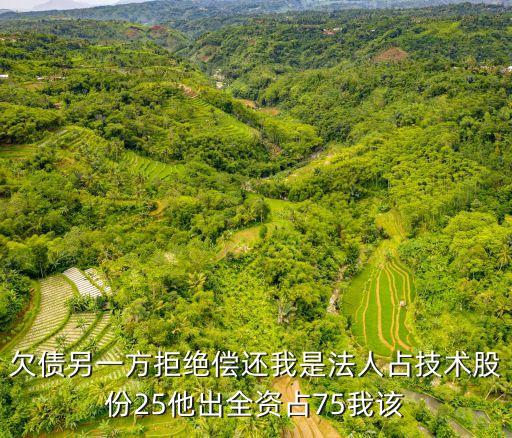 合伙開店沒合同糾紛了怎么辦，欠債另一方拒絕償還我是法人占技術(shù)股份25他出全資占75我該