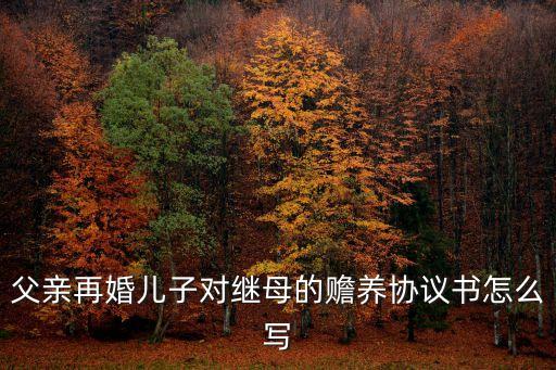 父親再婚兒子對繼母的贍養(yǎng)協(xié)議書怎么寫