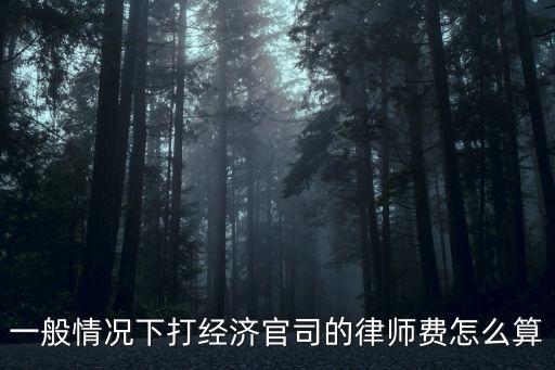 一般情況下打經(jīng)濟(jì)官司的律師費(fèi)怎么算
