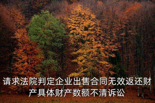 請求法院判定企業(yè)出售合同無效返還財產(chǎn)具體財產(chǎn)數(shù)額不清訴訟