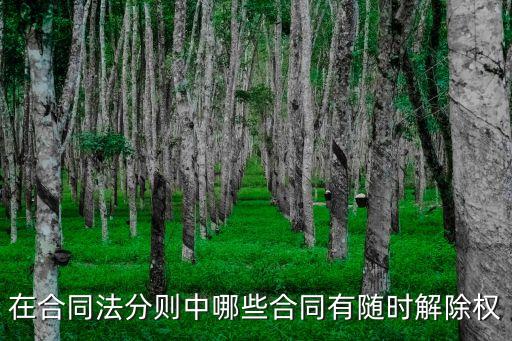 在合同法分則中哪些合同有隨時(shí)解除權(quán)
