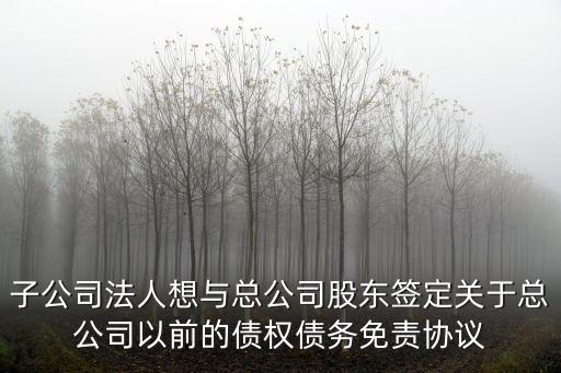 子公司法人想與總公司股東簽定關(guān)于總公司以前的債權(quán)債務(wù)免責(zé)協(xié)議