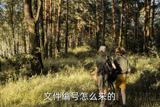 文件編號怎么來的