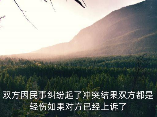 雙方因民事糾紛起了沖突結(jié)果雙方都是輕傷如果對(duì)方已經(jīng)上訴了