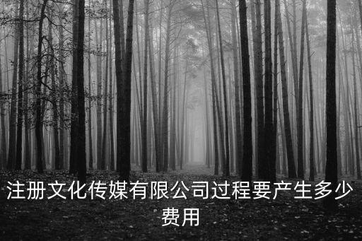 注冊(cè)文化傳媒有限公司過程要產(chǎn)生多少費(fèi)用