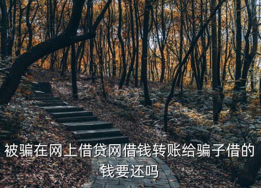 被詐騙借網(wǎng)貸需要還嗎，被騙在網(wǎng)上借貸網(wǎng)借錢轉(zhuǎn)賬給騙子借的錢要還嗎