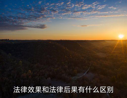 法律效果和法律后果有什么區(qū)別