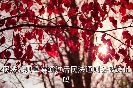 民法總則草案通過后民法通則會(huì)被廢止嗎