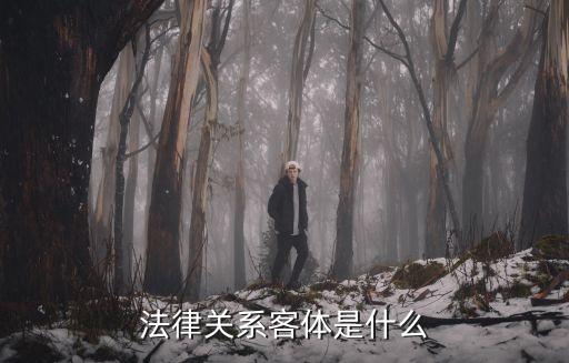 合同法中規(guī)定的法律關(guān)系客體包括，法律關(guān)系客體是什么