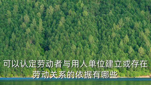 確認(rèn)勞動(dòng)關(guān)系的法律依據(jù)，可以認(rèn)定勞動(dòng)者與用人單位建立或存在勞動(dòng)關(guān)系的依據(jù)有哪些